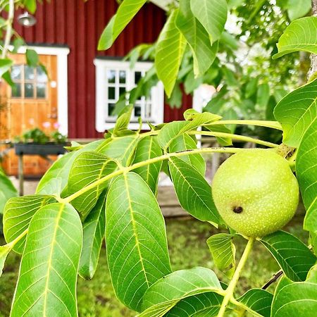 Holiday Home Målaretorpsvägen Borgholm Exteriör bild