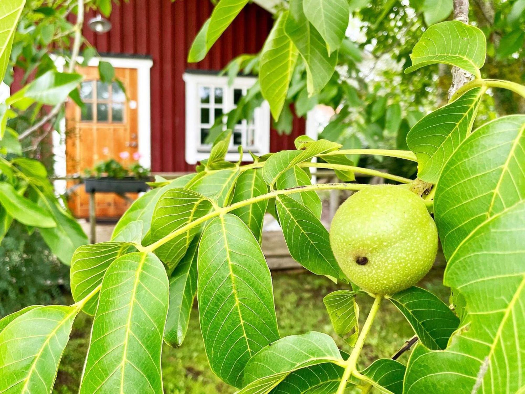Holiday Home Målaretorpsvägen Borgholm Exteriör bild